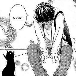 Catamans