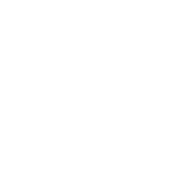 LIGHTFORGE